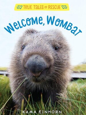 cover image of Welcome, Wombat